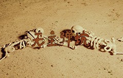 十二節(jié)氣動畫